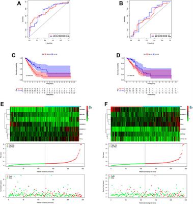 An Effective Hypoxia-Related Long Non-Coding RNA Assessment Model for Prognosis of Lung Adenocarcinoma